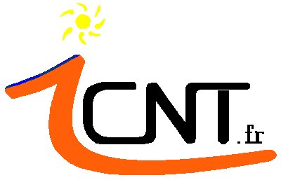 ICNT Logo