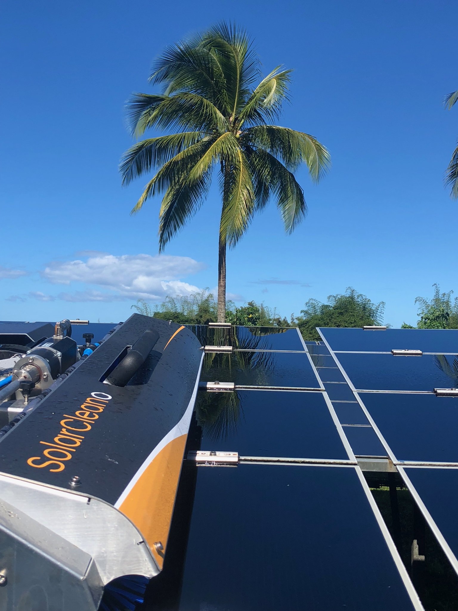 Robot SolarCleano nettoyage panneaux solaires — cocotier tropical